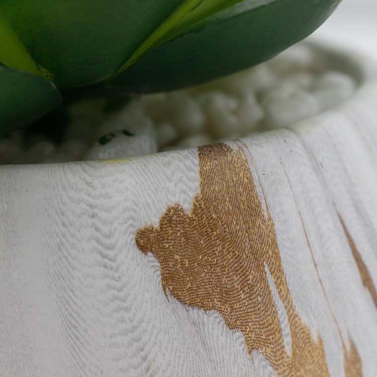 Wholesale-Artificial-Succulent-Plant-Mini-Succulents-for-Home-Hotel-Decorations (4).jpg